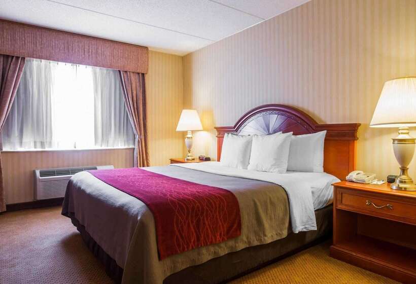 فندق Comfort Inn & Suites