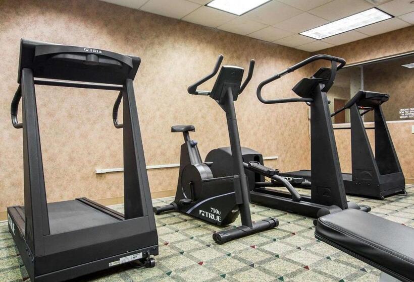 فندق Comfort Inn & Suites