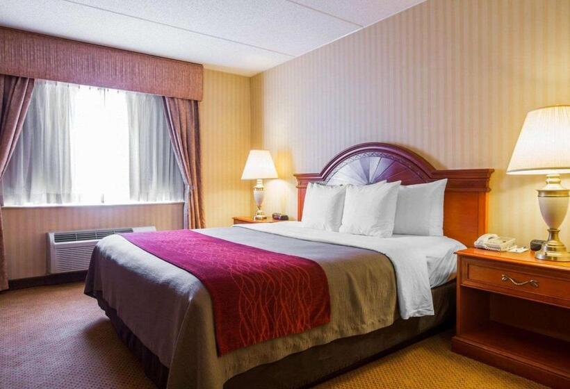 فندق Comfort Inn & Suites