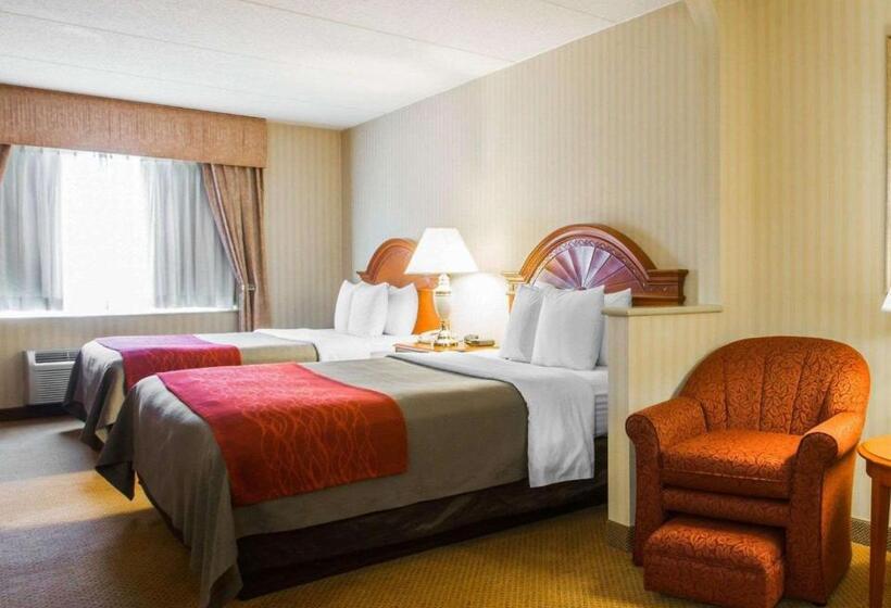 فندق Comfort Inn & Suites