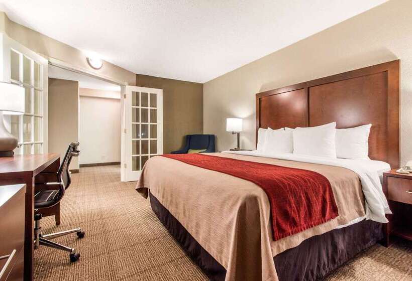 酒店 Comfort Inn & Suites Omaha Central