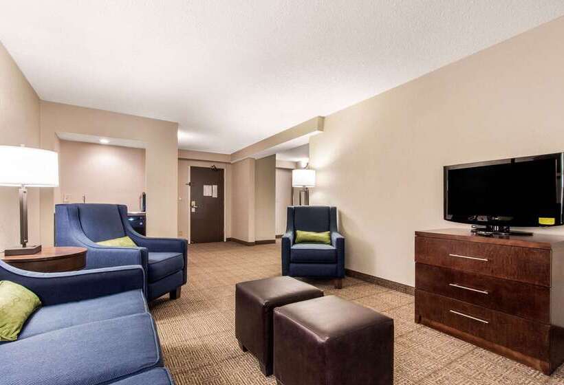 酒店 Comfort Inn & Suites Omaha Central