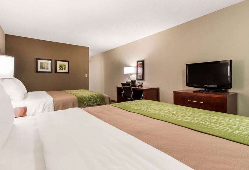 酒店 Comfort Inn & Suites Omaha Central