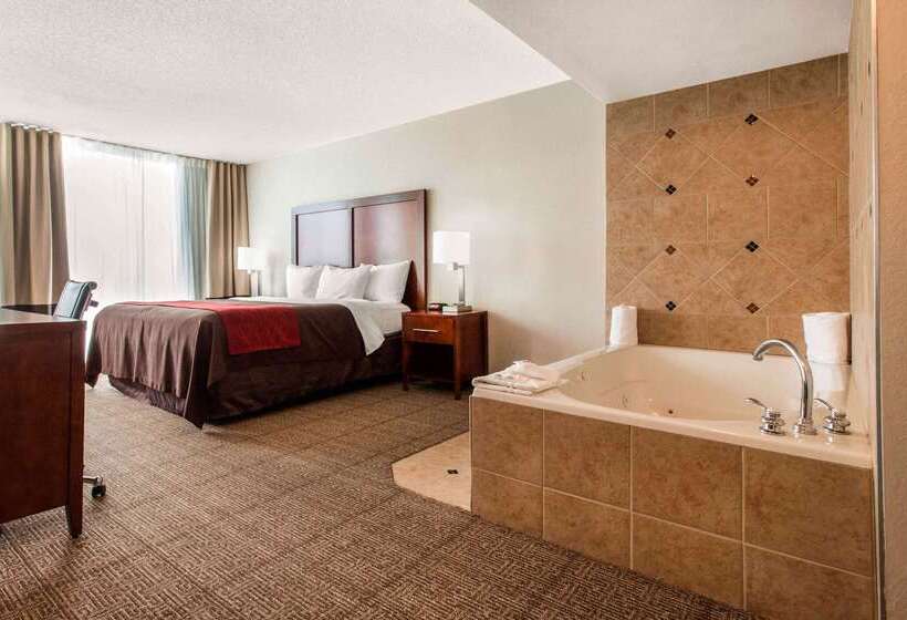 酒店 Comfort Inn & Suites Omaha Central