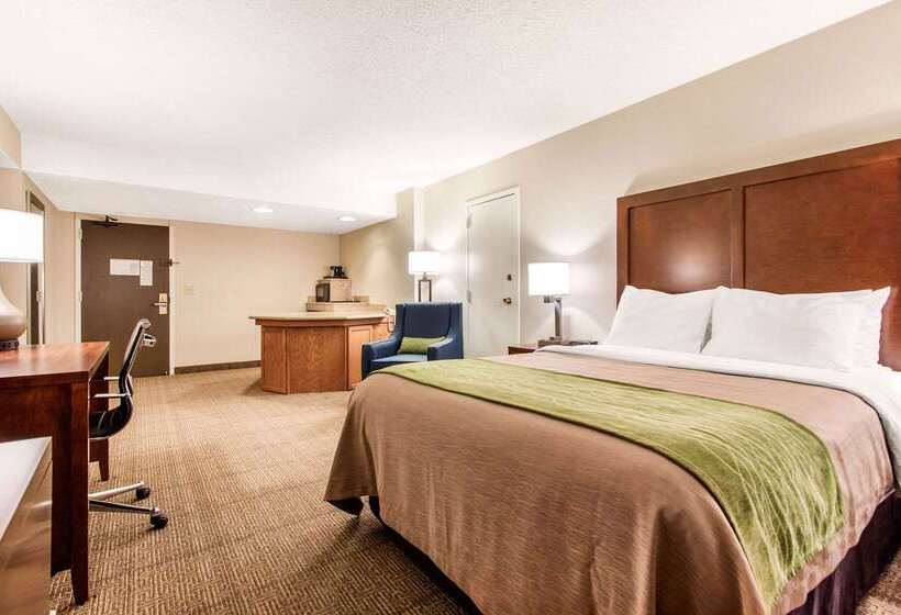 酒店 Comfort Inn & Suites Omaha Central
