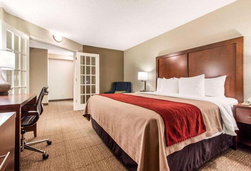 酒店 Comfort Inn & Suites Omaha Central