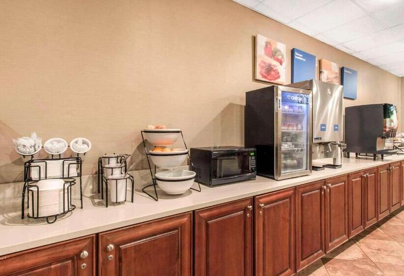 酒店 Comfort Inn & Suites Omaha Central