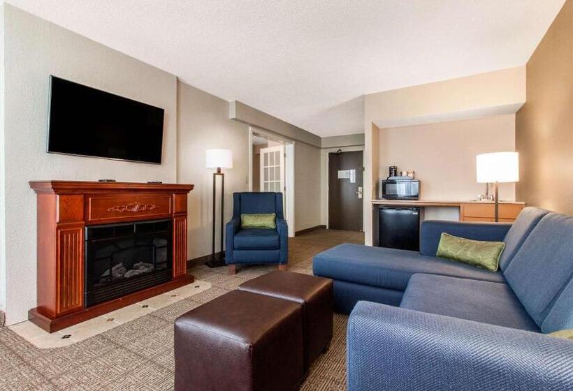 酒店 Comfort Inn & Suites Omaha Central