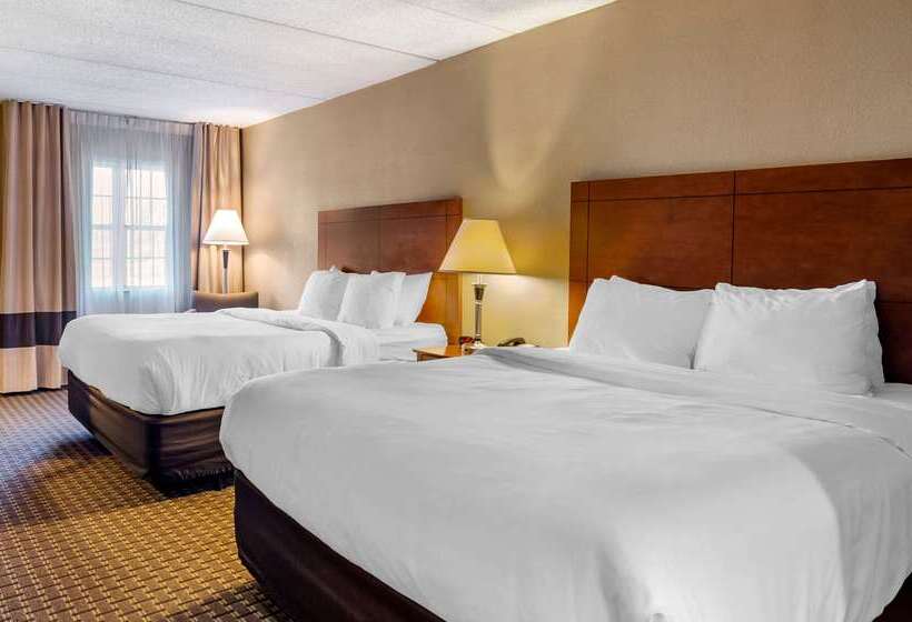 ホテル Comfort Inn & Suites Raphine  Lexington Near I81 And I64