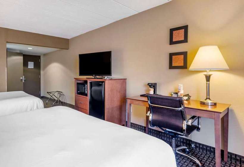 ホテル Comfort Inn & Suites Raphine  Lexington Near I81 And I64