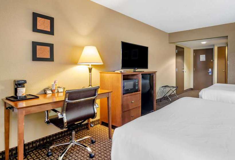 ホテル Comfort Inn & Suites Raphine  Lexington Near I81 And I64