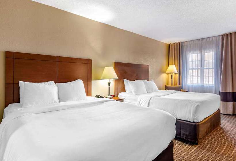 ホテル Comfort Inn & Suites Raphine  Lexington Near I81 And I64