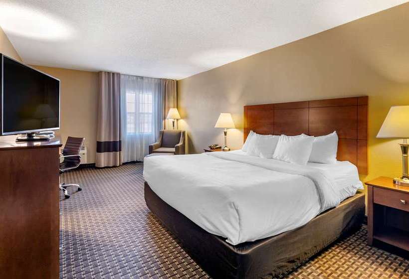 ホテル Comfort Inn & Suites Raphine  Lexington Near I81 And I64