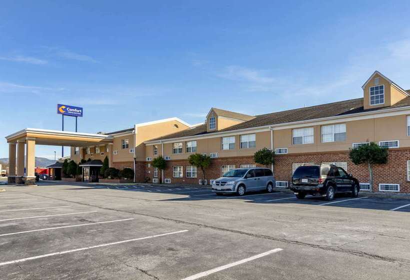 ホテル Comfort Inn & Suites Raphine  Lexington Near I81 And I64