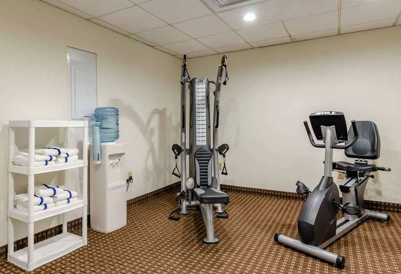 ホテル Comfort Inn & Suites Raphine  Lexington Near I81 And I64