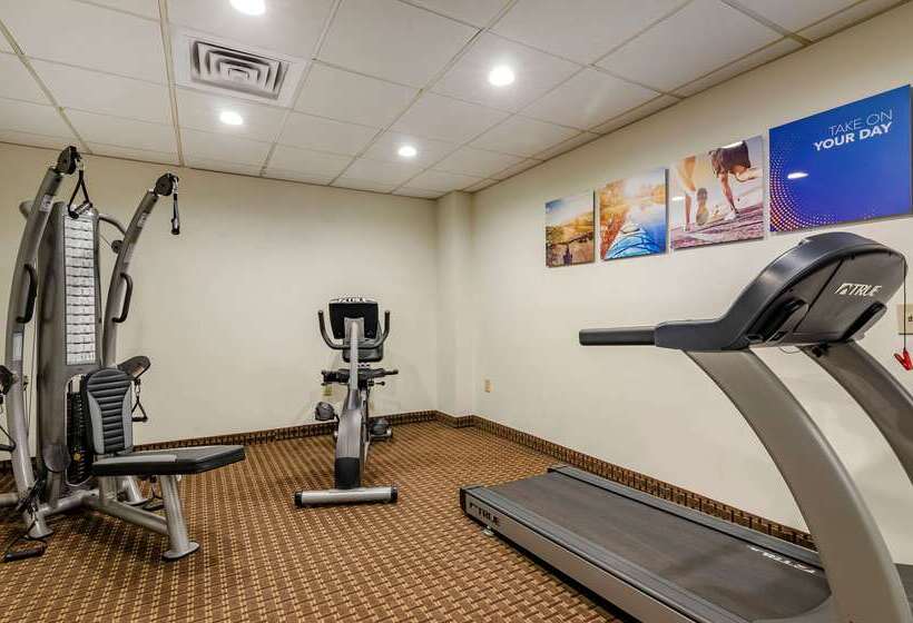 ホテル Comfort Inn & Suites Raphine  Lexington Near I81 And I64