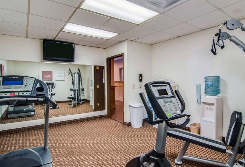 ホテル Comfort Inn & Suites Raphine  Lexington Near I81 And I64