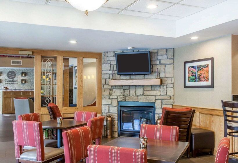 فندق Comfort Inn & Suites Sturbridgebrimfield