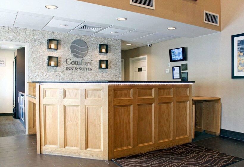 فندق Comfort Inn & Suites Sturbridgebrimfield