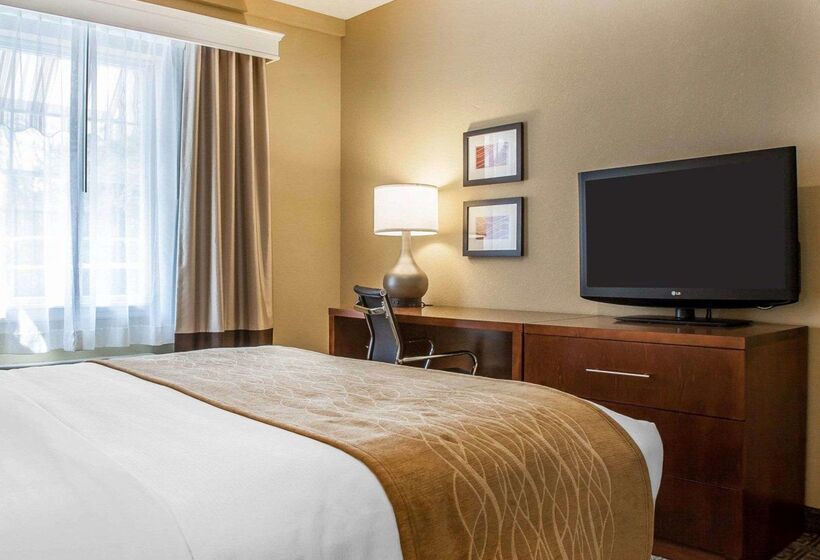 فندق Comfort Inn & Suites Sturbridgebrimfield