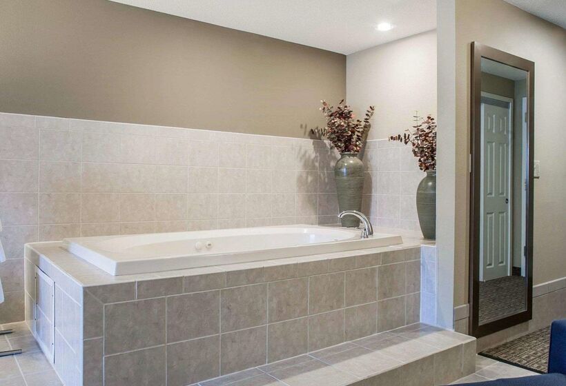 酒店 Comfort Inn & Suites Sturbridgebrimfield
