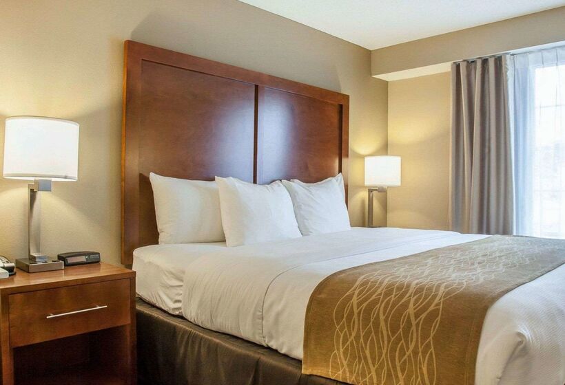 فندق Comfort Inn & Suites Sturbridgebrimfield