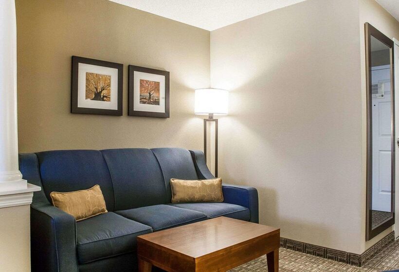 فندق Comfort Inn & Suites Sturbridgebrimfield