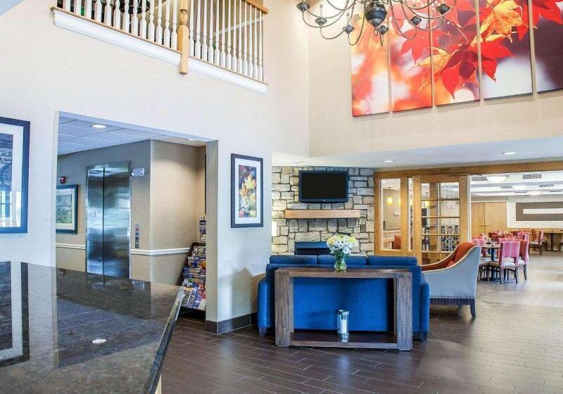 酒店 Comfort Inn & Suites Sturbridgebrimfield