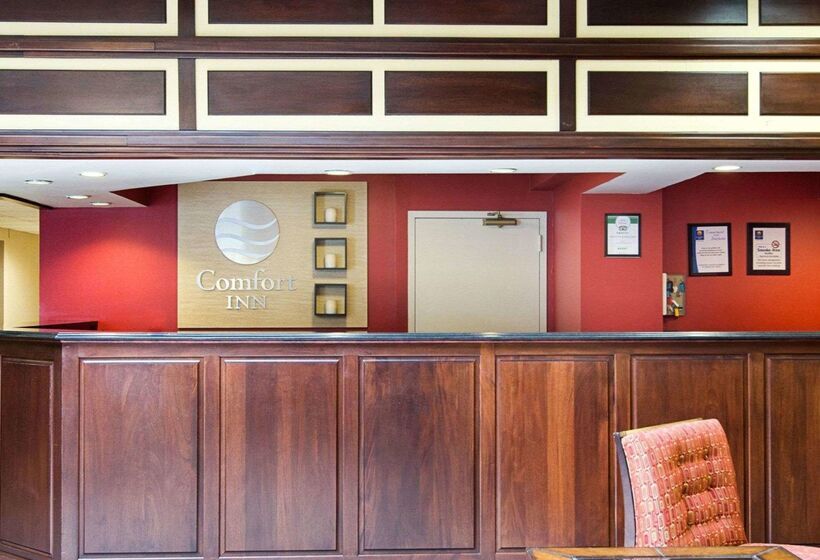 酒店 Comfort Inn University Center