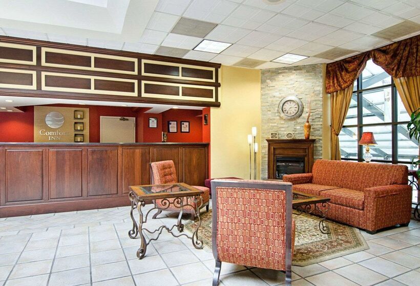 酒店 Comfort Inn University Center