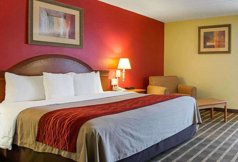 酒店 Comfort Inn University Center