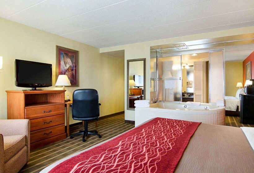 ホテル Comfort Inn University Center