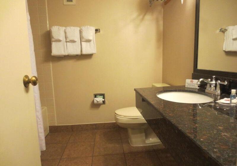 酒店 Comfort Inn University Center