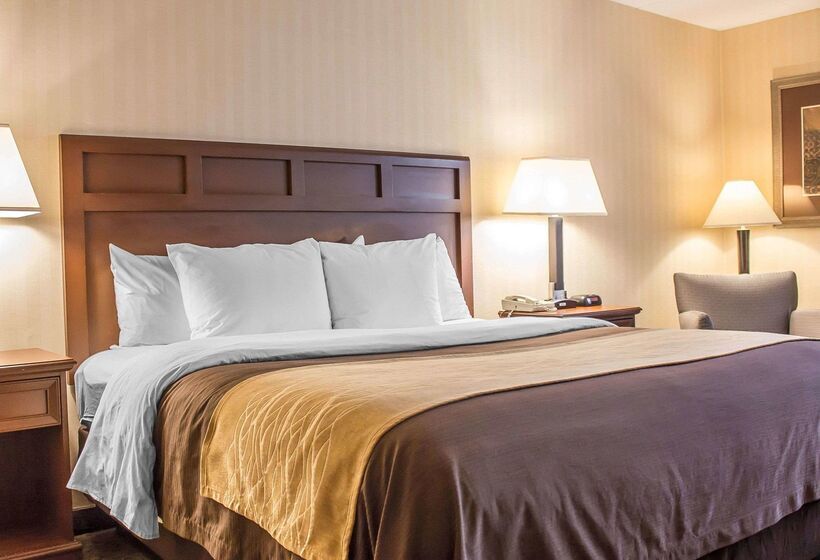 هتل Comfort Inn Wethersfield Hartford