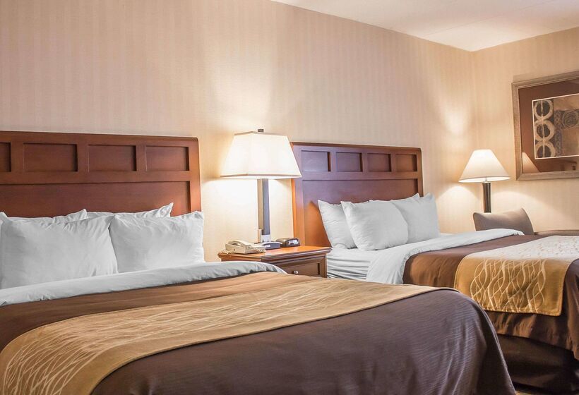 هتل Comfort Inn Wethersfield  Hartford
