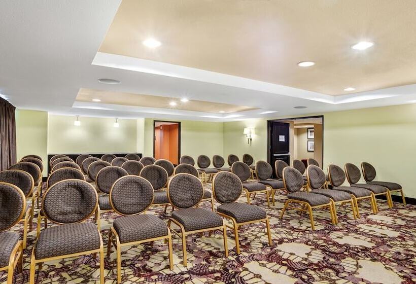 酒店 Crowne Plaza Houston Galleria Area, An Ihg