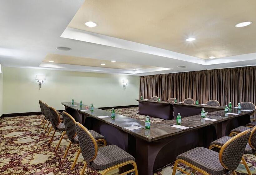 酒店 Crowne Plaza Houston Galleria Area, An Ihg