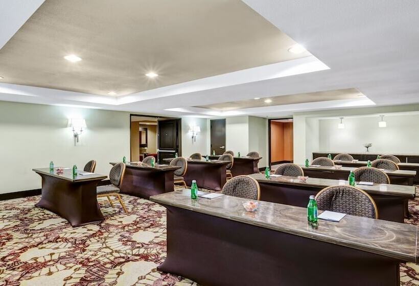 酒店 Crowne Plaza Houston Galleria Area, An Ihg