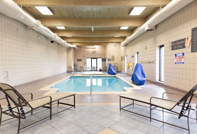 Delta Hotels By Marriott Detroit Novi