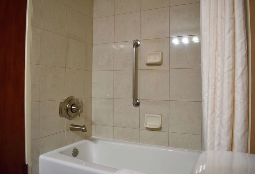 هتل Doubletree By Hilton Asheville Biltmore