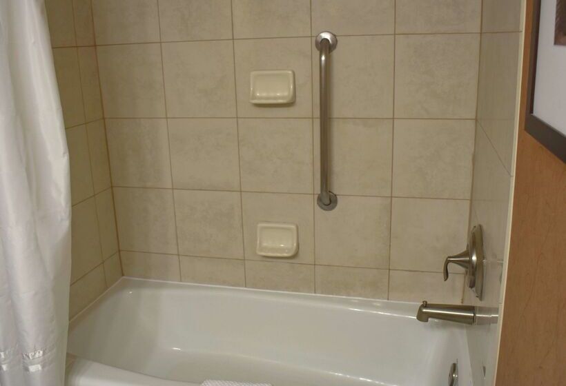 فندق Doubletree By Hilton Asheville Biltmore