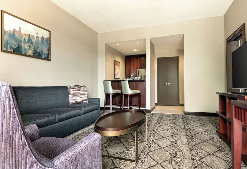 فندق Doubletree By Hilton Atlanta   Northlake