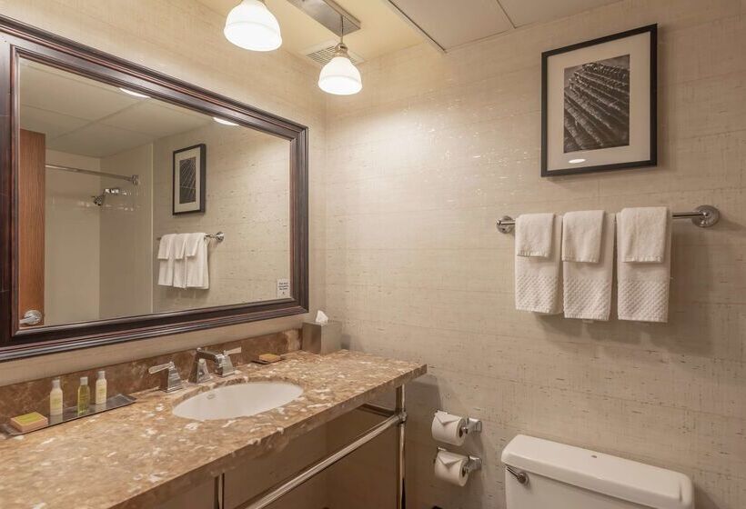 هتل Doubletree By Hilton Bloomington Minneapolis South