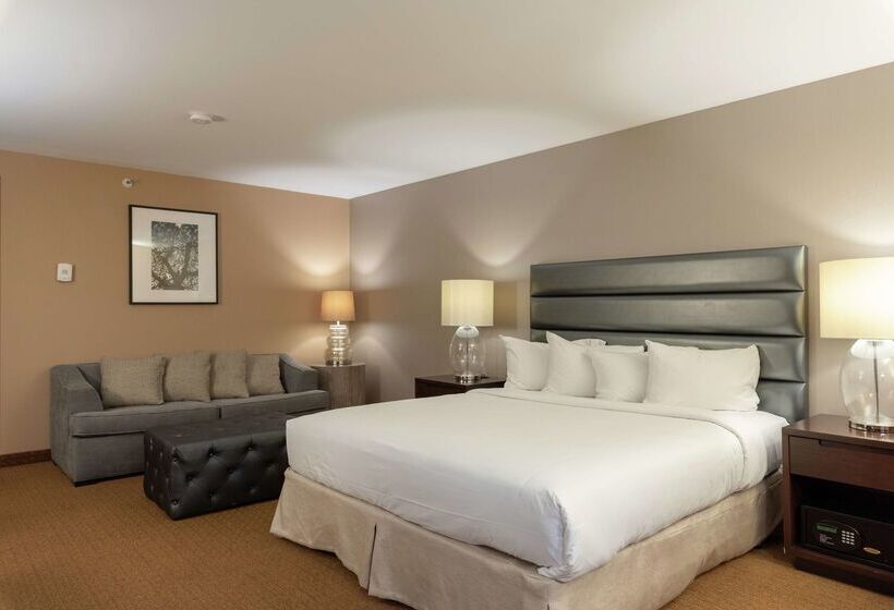 酒店 Doubletree By Hilton Bloomington Minneapolis South