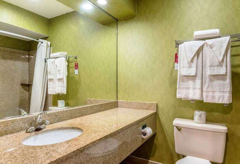 فندق Econo Lodge Pocomoke City Hwy 13