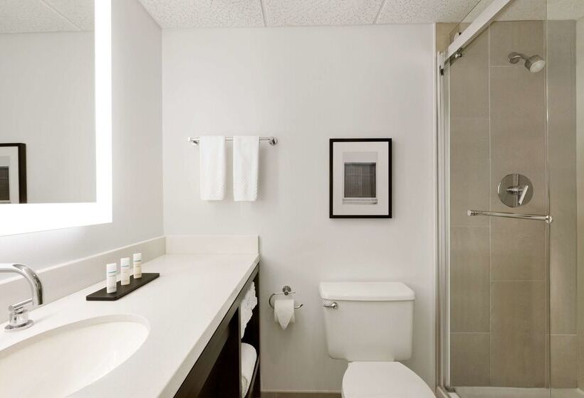 فندق Embassy Suites Boca Raton