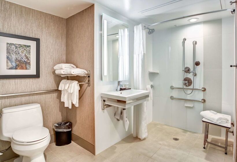 Отель Embassy Suites By Hilton Orlando International Dr Conv Ctr