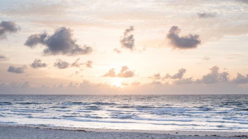 فندق Four Seasons Resort Palm Beach