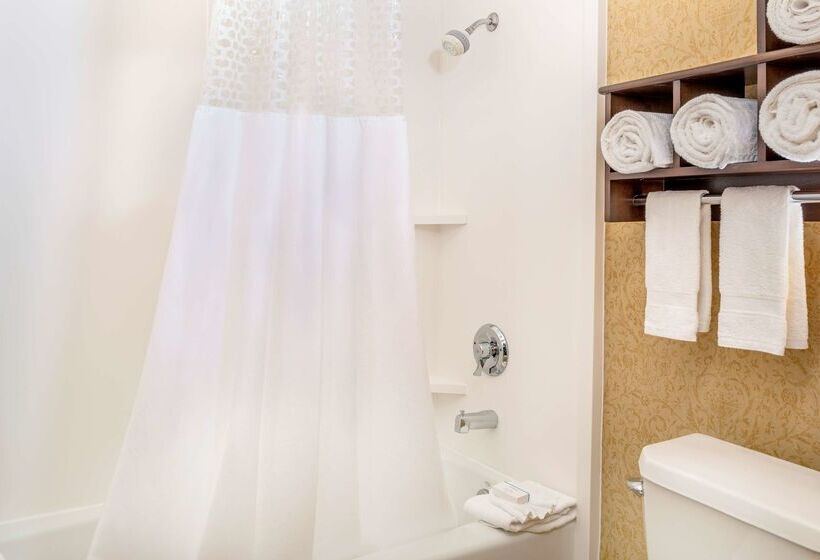 בית מלון כפרי Hampton Inn & Suites San Clemente