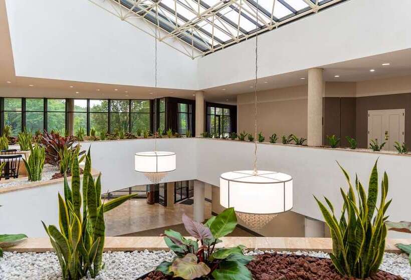 هتل Hilton Alexandria Mark Center